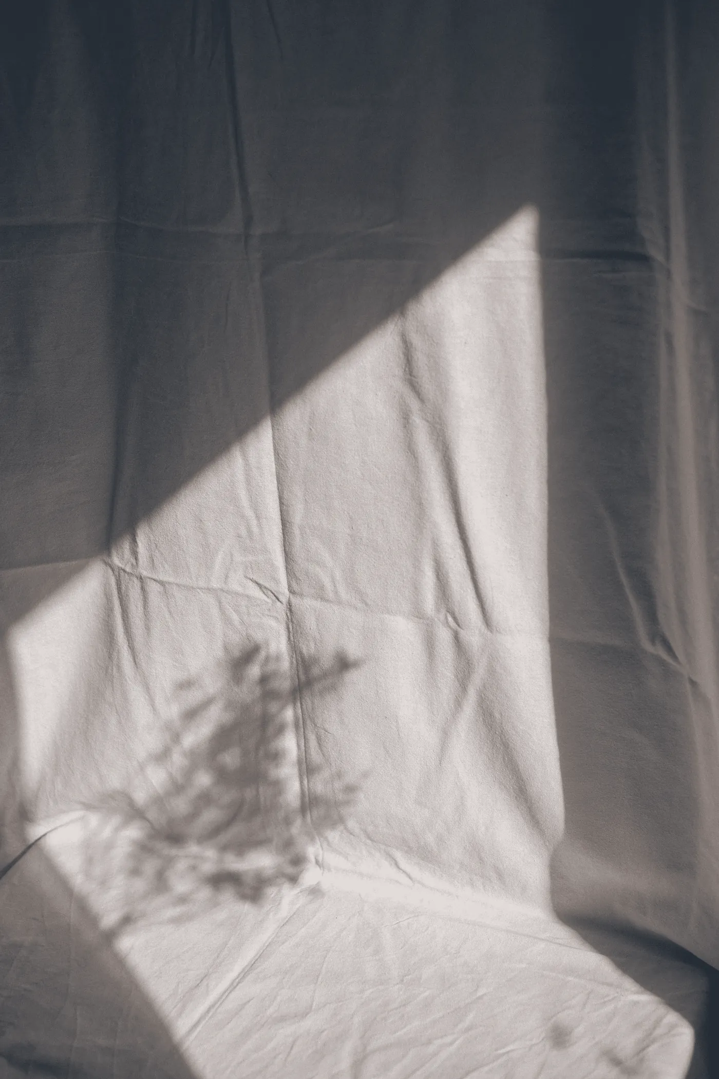 The shadow of a plant on soft linen